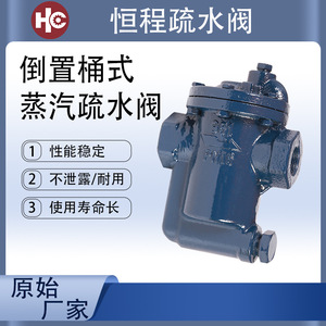 Trampa de Vapor Tipo Cubeta de Hierro Dúctil 981, Roscada, Invertida, para Sistemas HVAC - Product Image 3