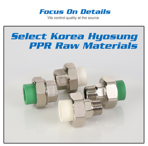 E010 Screwed Western Union Patente Công Đoàn Hình Nón Kết Nối Doanh Nhựa Ppr Cuối Các Bộ Phận Bơm - Product Image 4