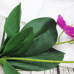 ZY2074 ZUOYI 57CM 2 rami 12 teste in lattice artificiale orchidea fiore con foglia per fiori di nozze - Product Image 6