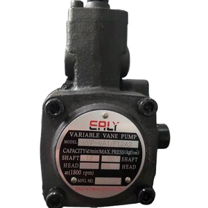 Pompe à huile hydraulique à palettes à déplacement variable élevé série VA1 VB1 VC1 VD1 VE1 SVPF, Nouvelle - Product Image 6