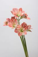 Vente en gros de fleurs artificielles clivia de petite taille pour la décoration de la maison