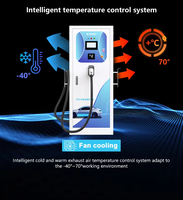 Nouveau chargeur rapide DC EV double pistolet Bluesky Commercial 120-200KW sur pied, compatible avec les normes CCS1, CCS2, Chademo et GB/T