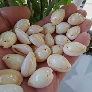 Großhandel Kauri Muschel Muscheln Eins Zwei Löcher Strand Natur schalen Handwerk Schmuck Herstellung Polierte DIY Zubehör Dekoration - Product Image 2