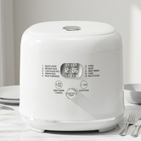 Autocuiseur numérique en acier inoxydable OEM/ODM 2,8 L 400 W WT-D04-2.8L avec fonction riz faible en sucre et minuterie 24h pour un régime alimentaire sain