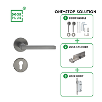Doorplus Factory Supply Custom Luxury Bedroom Hotel Lever Poignées de porte internes noires pour portes en bois