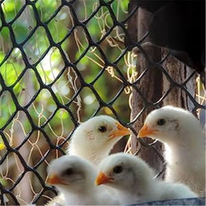 Filet plat en plastique à faible coût de 500 g/m² pour l'extérieur - Product Image 1