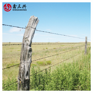 <span class=keywords><strong>ลวดหนาม</strong></span>ชุบสังกะสี <span class=keywords><strong>ราคา</strong></span><span class=keywords><strong>ส่ง</strong></span>โรงงาน น้ำหนัก 25 กก. เบอร์ 16 สำหรับงานก่อสร้าง ป้องกันความปลอดภัย ใช้สำหรับทำรั้ว - Product Image 6