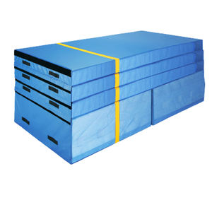 جهاز الجمباز ZONWINXIN عالي الجودة, جهاز الجمباز ZONWINXIN عالي الجودة جهاز قبو المستوى 2 و xsel البرونزية: نظام خمس قطع - Product Image 2