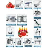 Machine de fabrication de sauce tomate entièrement automatique ORME Petite ligne de production de purée de tomates
