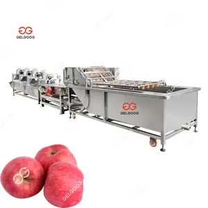 Commercial Agricultural Apple Wash Washer Grading Packing Fruit Cutting Production Line Washing and Drying Machine