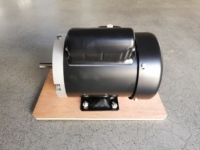 Moteur monophasé NEMA WAYLEAD 0,75 CV, cadre 56, TEFC, 115/230 V, 60 Hz, montage sur pied, 1750 tr/min, asynchrone AC, efficacité IE2