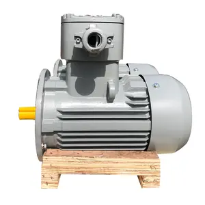 15kw 3phase AC Ex Induction Motor CE Explosion-Proof Electric AC Asynchronous Motor