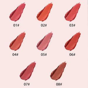 Rouge à lèvres personnalisé DSM 8 couleurs Imperméable Rose Rouge Beauté Lèvres Batom Rouge à lèvres mat Maquillage Facile à porter Gloss à lèvres cosmétique - Product Image 3