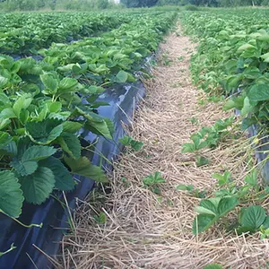 Individuelle Farbe 4 Zoll 100 Meter Tropfbewässerungsschlauch PVC Lagerboden-Schlauch mit Formdienst Landwirtschaft Bewässerung