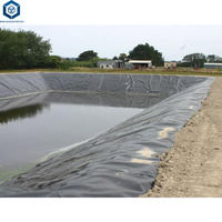 Proyecto de Geomembrana HDPE para Acuicultura para Revestimiento de Estanque de Camarón en Colombia