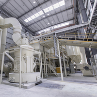 Broyeur Raymond à attapulgit de haute efficacité et à économie d'énergie, machine de fabrication de poudre 40-500 mesh pour la craie, la dolomite, la calcite, le CaCO3