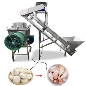 Best selling garlic peeling machine production line/garlic breaking machine/garlic separating peeling machine