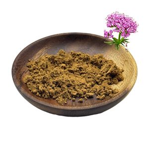 Klife số lượng lớn <span class=keywords><strong>valeriana</strong></span> officinalis chiết xuất bột 0.8% valeric axit valerian chiết xuất từ rễ - Product Image 1
