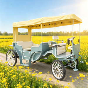 Calèche de tourisme spacieuse multi-passeagers, style royal européen, pour l'aménagement d'événements publics dans les zones touristiques - Product Image 1