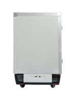 Fourgonnette électrique cabine 60v 3000w/nouvelle cargaison électrique/fourgonnette réfrigérée de la température la plus basse moins 18.5 avec certificat CEE