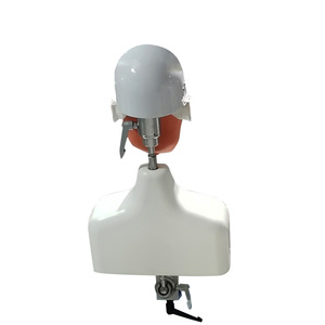Modelo de Educación Dental: Maniquíes de Cabeza y Torso para Práctica y Entrenamiento Odontológico - Product Image 5