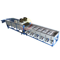 Automatische trommeltype ronde fruit sorteermachine voor sinaasappels, citrusvruchten, tomaten en appels.