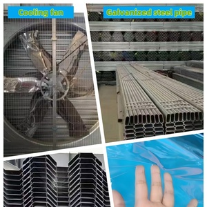 <span class=keywords><strong>Invernadero</strong></span> Túnel de Gran Tamaño Económico con Estructura de Acero Galvanizado y Lámina de PE para Cultivo de Plantas - Product Image 4
