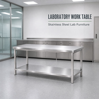 Banc de travail en acier inoxydable pour laboratoire hospitalier SCEELAB SS304, table de travail, étagère, design contemporain, tailles personnalisées, fabrication en usine