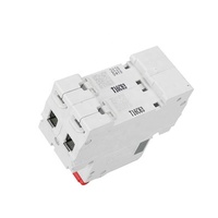 DELIXI Mcb Double Pôle 63A 100A Marque Chinoise Delixi Meilleure Qualité Chinoise Disjoncteur Miniature Monophasé DP DELIXI