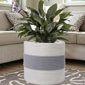 Panier de rangement tissé P111 décoratif pour la maison moderne Mini panier <span class=keywords><strong>en</strong></span> <span class=keywords><strong>corde</strong></span> de coton pour plantes Couverture pour placard de jardin Bin de rangement Table Fleur - Product Image 6