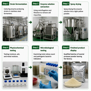 Proteasa Neutra, Enzima Proteolítica, Enzima de Hidrólisis de Proteínas, Preparación para la Fabricación Industrial - Product Image 6