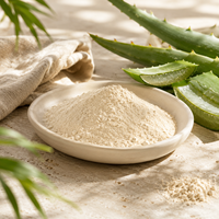 Poudre d'extrait de gel d'aloe vera séché par pulvérisation de haute qualité, qualité alimentaire, OEM, ODM, marque privée, vente en gros, approvisionnement en vrac, directement de l'usine