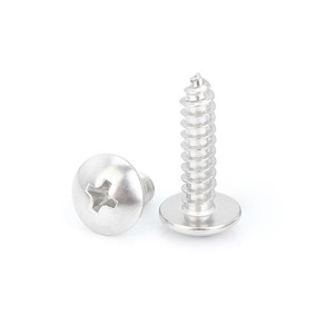 Tornillo Autorroscante de Cabeza Métrica de Acero Inoxidable 304, Cabeza Tipo Paraguas, Acabado Blanqueado - Product Image 2