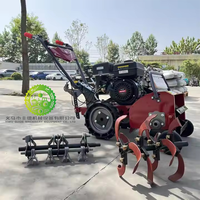 Désherbeuse et Tondeuse Automatiques Portables Mini pour Ferme, Machine à Couper les Mauvaises Herbes avec Moteur, Boîte de Vitesses et Composants Essentiels (Roulements)