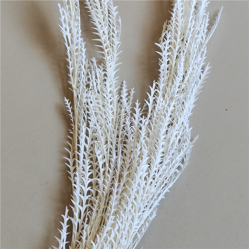 Blanco blanqueado