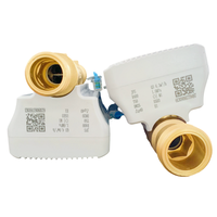 Compteur d'eau intelligent multi-jets à ultrasons WiFi pour surveillance à distance, alarme automatique, étanche IP68, débitmètre à filetage en laiton