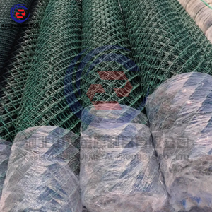 Jala kawat baja hijau murah dapat disesuaikan warna pagar rantai berlapis <span class=keywords><strong>PVC</strong></span> untuk pertanian - Product Image 1