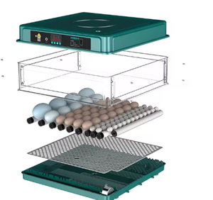 Incubadora de Huevos de Gran Capacidad Diseñada para Criaderos Comerciales, Calidad Industrial, Funcionamiento Continuo 24/7 - Product Image 4