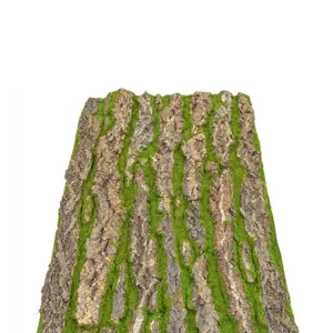 フェイクグリーンの植物の壁の装飾のために人工モスと天然樹皮を組み合わせたコルク樹皮3D壁パネル