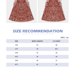 Younger Girls' Rose Gold Sequin party Dress with Organza Ruffled Sleeves - Product Image 2