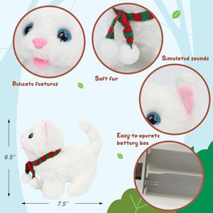 मीइंग पूंछ waging सिर नोडिंग बिल्ली बिल्ली बिल्ली बिल्ली बिल्ली बिल्ली बिल्ली बिल्ली बिल्ली मुर्गा मुर्गा - Product Image 6