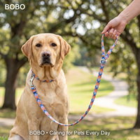 Laisse pour chien personnalisable, durable, pour l'extérieur, laisse pour animaux de compagnie, douce et confortable, pour la promenade des animaux