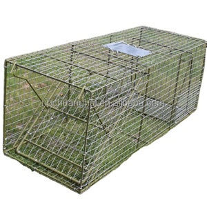 Rechercher Les Meilleurs Piege A Chat A Fabriquer Fabricants Et Piege A Chat A Fabriquer For French Les Marches Interactifs Sur Alibaba Com Rechercher Les Meilleurs Piege A Chat A Fabriquer Fabricants Et Piege A Chat A Fabriquer For French Les Marches Interactifs Sur Alibaba Com