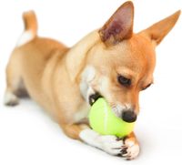 Balle de tennis gonflable personnalisée en caoutchouc bleu et jaune pour chien, jouet d'entraînement et de divertissement pour chiot actif pour la plage