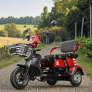 2025 vente chaude 48V Scooter électrique adulte conception de corps ouvert avec des tricycles électriques de riz coloré à vendre - Product Image 3