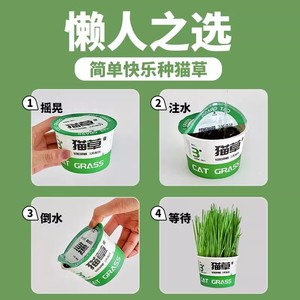 Kit de Cultivo de Hierba para Gatos con 90% de Tasa de Germinación, Contenedor de Plástico Reutilizable para Interiores, Diseño Redondo Simple, para Animales Pequeños - Product Image 5