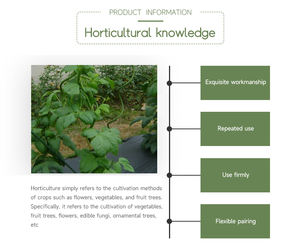 Piquets de Support pour plantes grimpantes, Cages de jardinage en spirale, piquets pour plantes en pot, tomate, Rose, vigne - Product Image 4