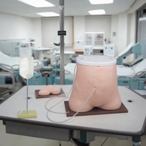 Maniquí de Diálisis Peritoneal de PVC para Entrenamiento de Habilidades Médicas de Enfermería, Recursos de Enseñanza de Suministros Médicos, Modelo de Ciencia Médica - Product Image 2