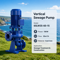 Pompe à eaux usées verticale 65LW35-60-15 pour élevage, 15KW 35m³/h, en fonte, pour aquaculture, construction et traitement des eaux usées