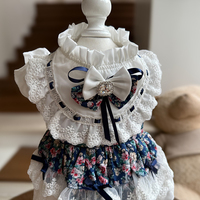 Vêtements élégants et chics en dentelle pour petits chiens, en gros, pour accessoires photo charmants, sorties du week-end et spectacles de vacances